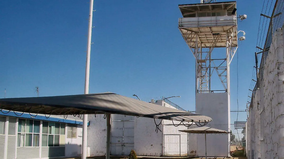 WhatsApp Image 2025-10-01 at 1.23.32 PM (1)