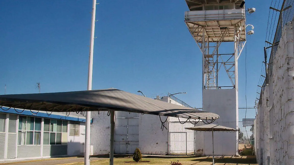 WhatsApp Image 2025-10-01 at 1.23.32 PM (1)