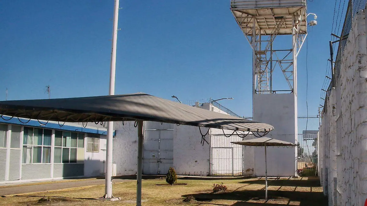 WhatsApp Image 2025-10-01 at 1.23.32 PM (1)