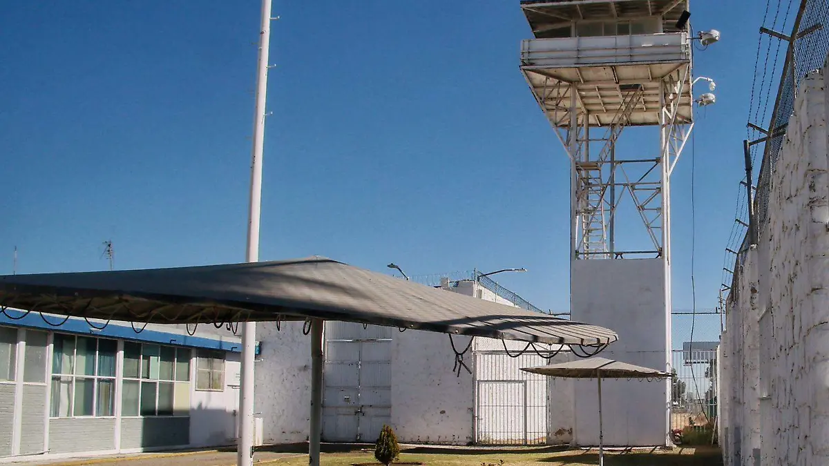 WhatsApp Image 2025-10-01 at 1.23.32 PM (1)