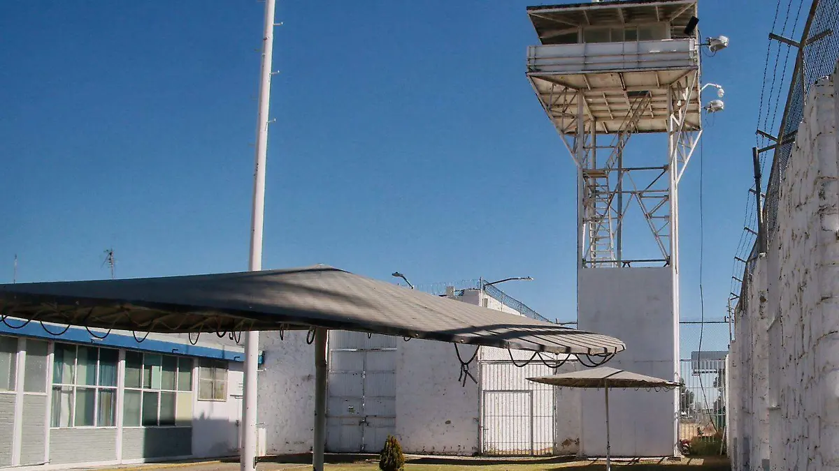 WhatsApp Image 2025-10-01 at 1.23.32 PM (1)