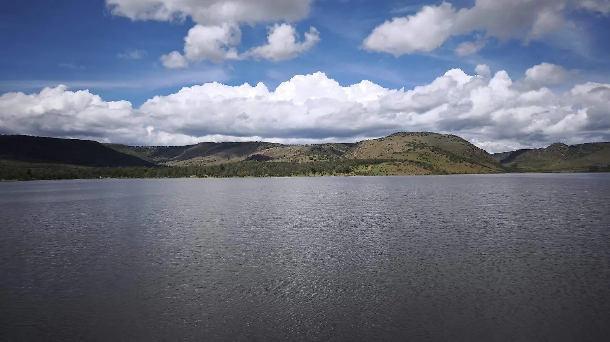 presa gara