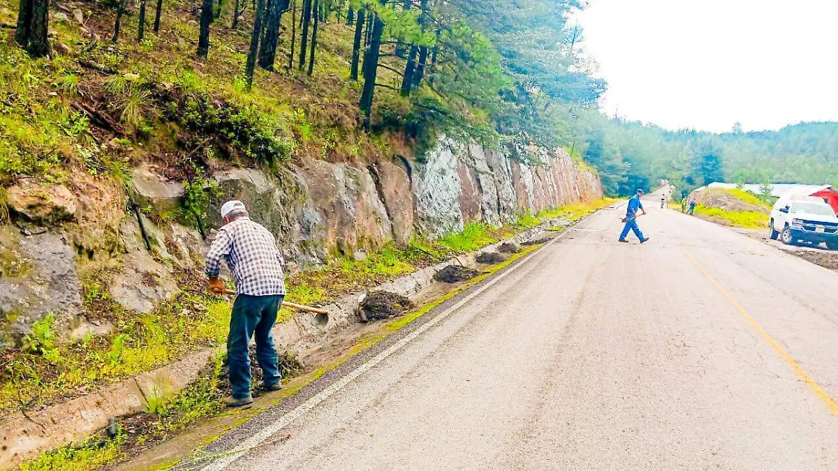 WhatsApp Image 2025-10-05 at 12.59.07 PM