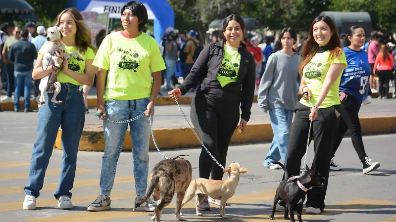 Primer domingo de "Durango de rol" en la ciudad capital