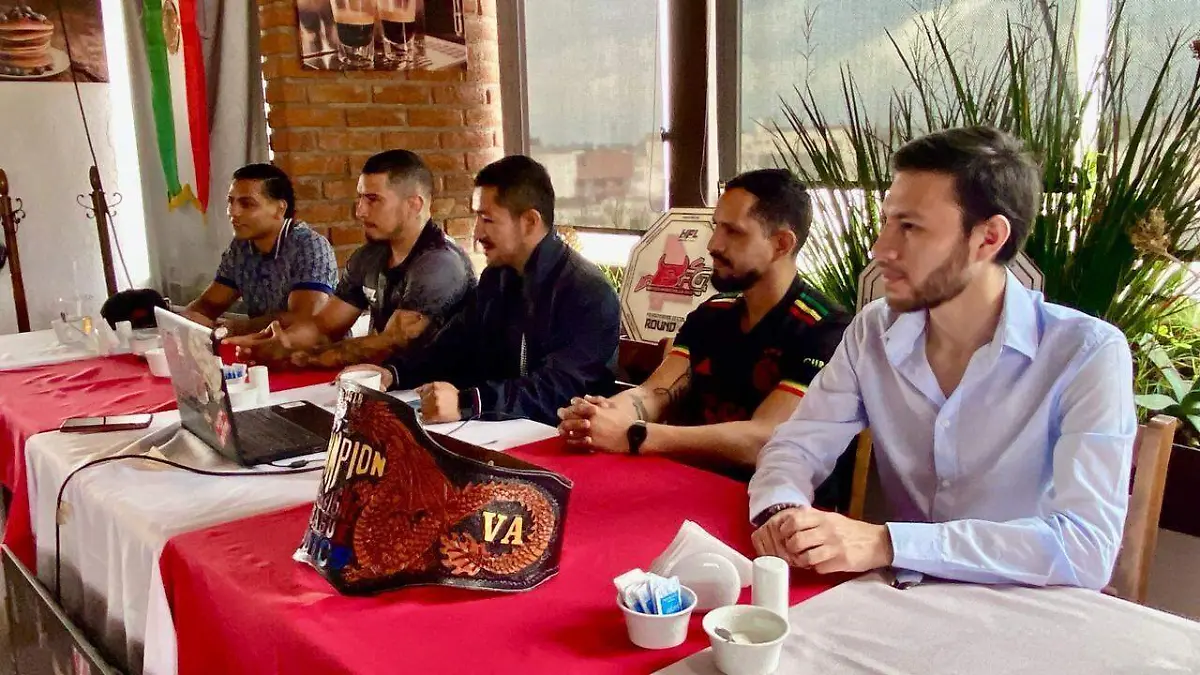 MMA profesional en el Palacio de los Combates