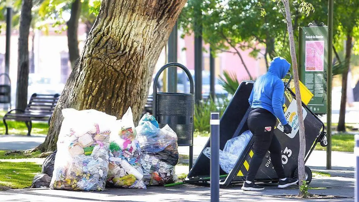 WhatsApp Image 2024-12-01 at 2.52.33 PM