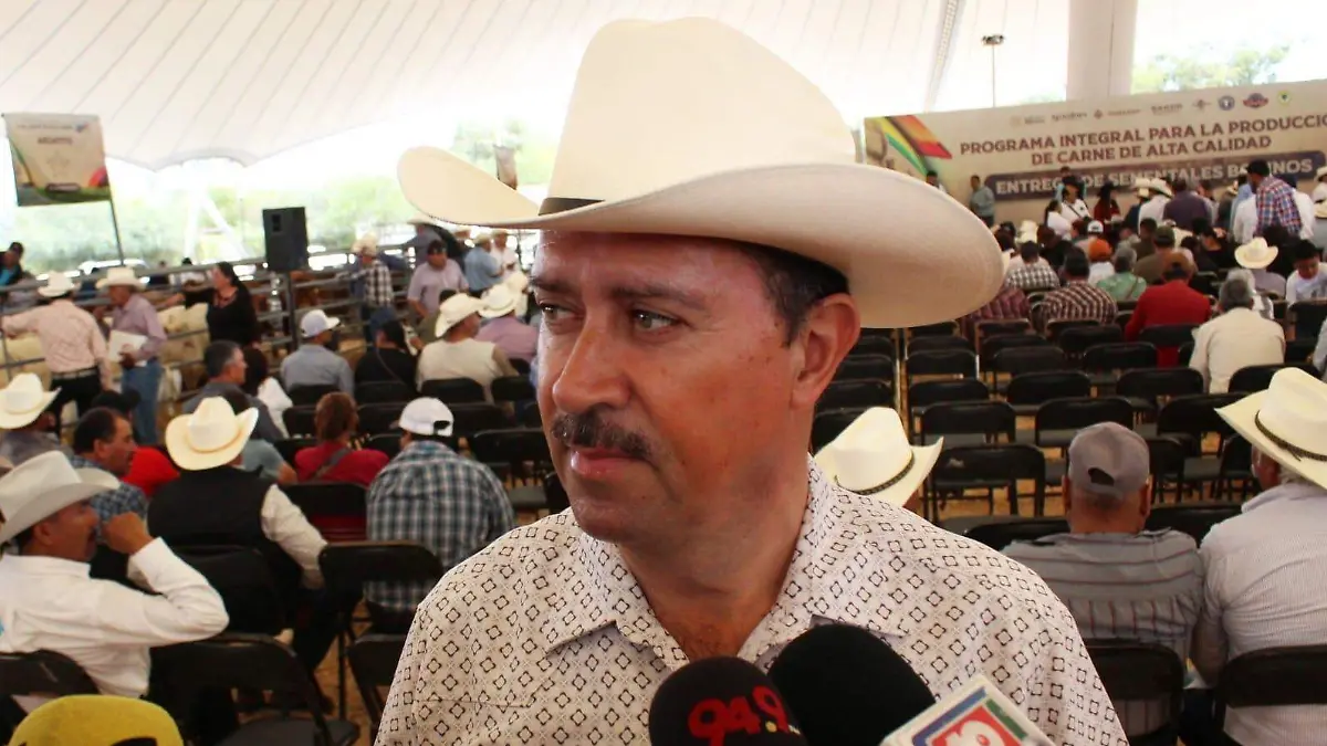 WhatsApp Image 2025-10-16 at 15.27.23