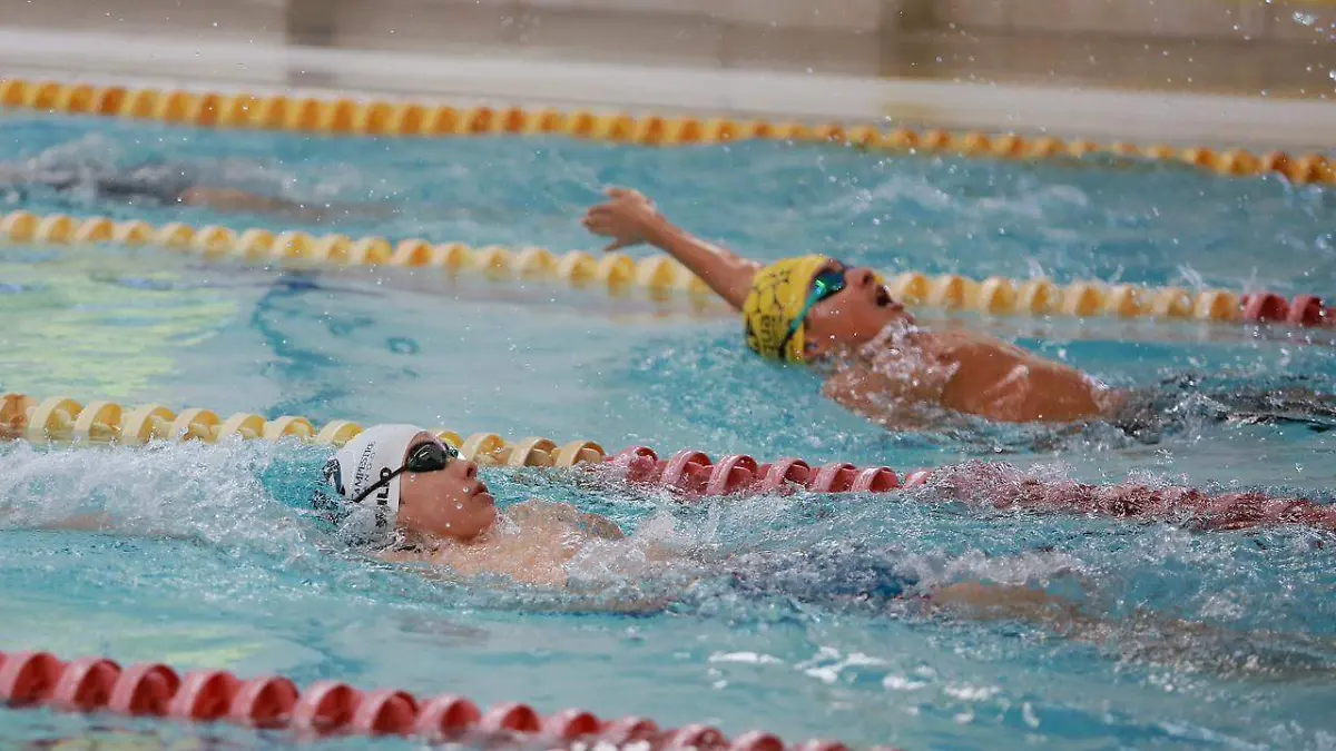 Nadadores-natación