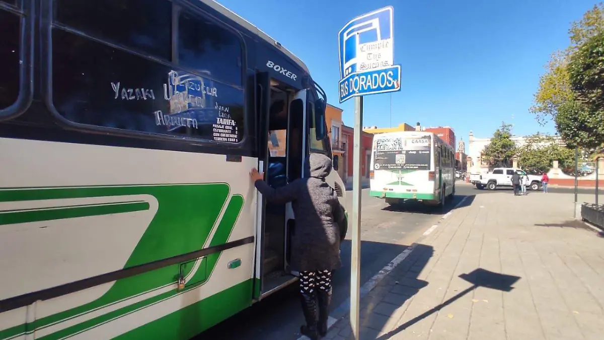 WhatsApp Image 2025-10-25 at 3.20.51 PM