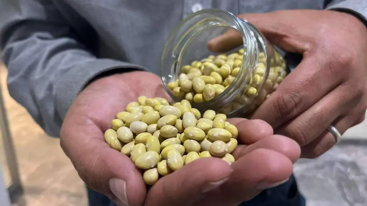 WhatsApp Image 2025-10-31 at 00.59.30