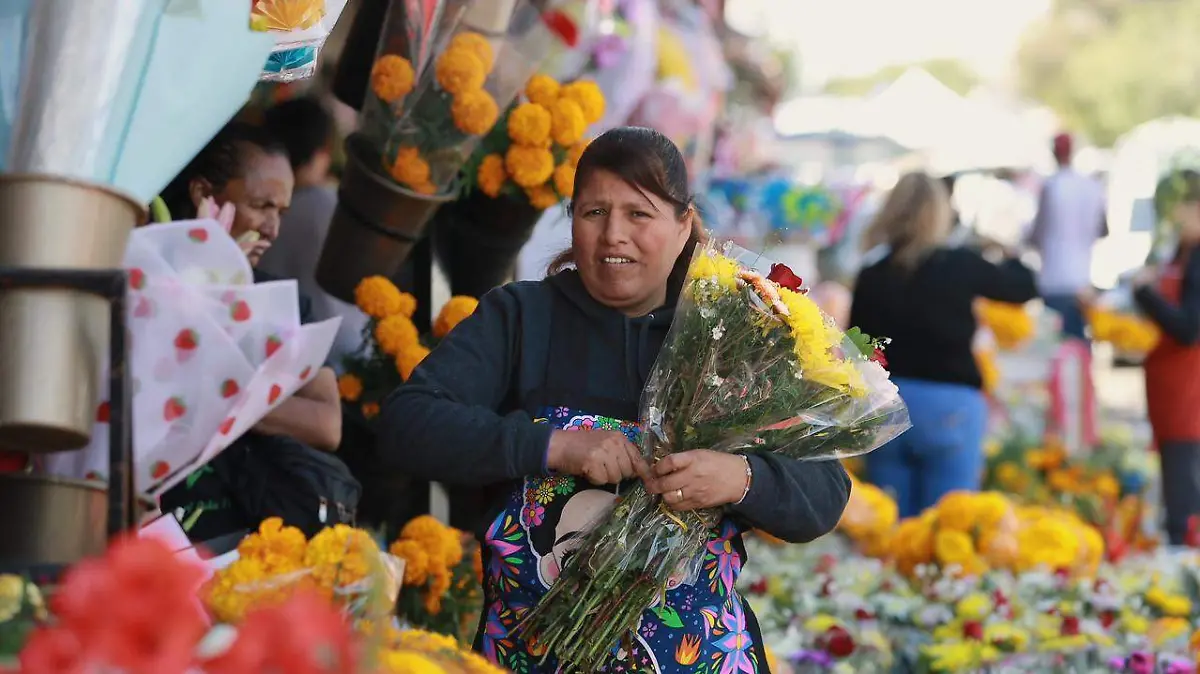 WhatsApp Image 2025-11-01 at 2.17.19 PM