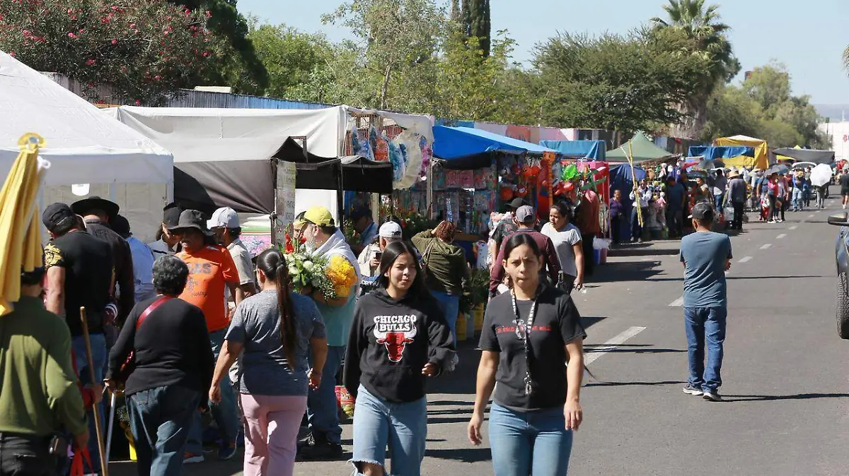 WhatsApp Image 2025-11-02 at 14.15.30