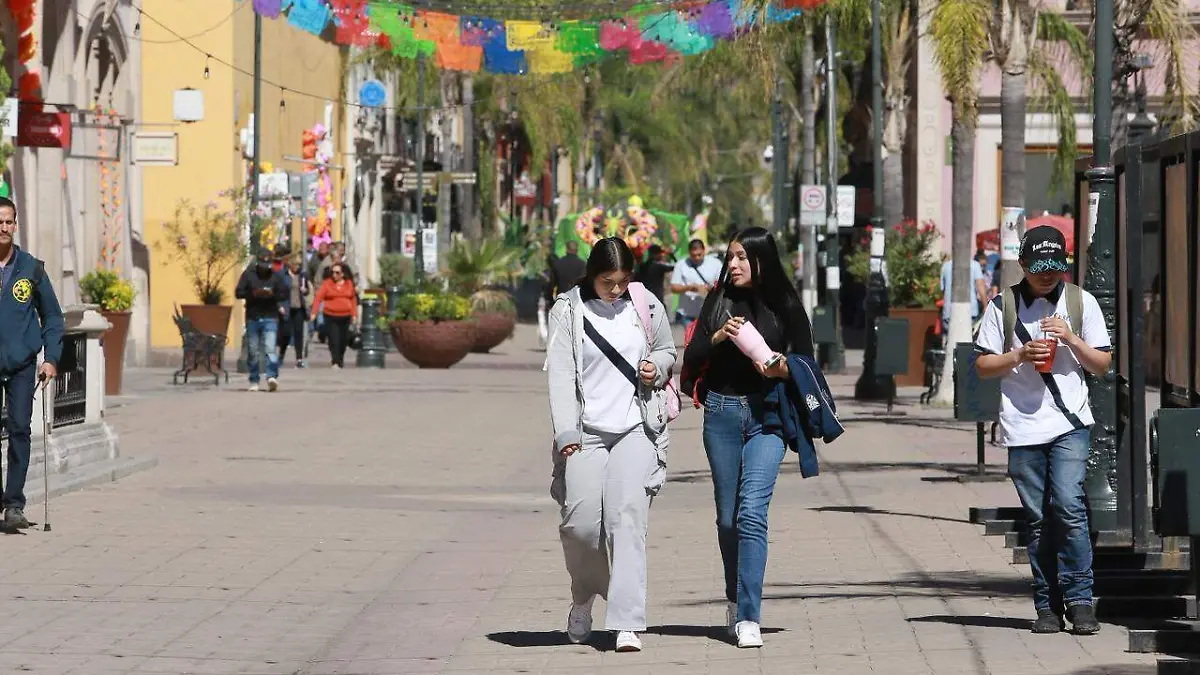 WhatsApp Image 2025-11-05 at 3.11.48 PM (1)