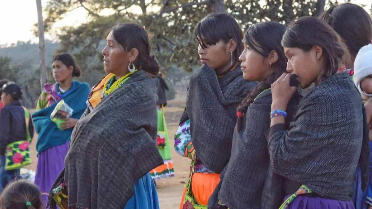 WhatsApp Image 2025-11-05 at 15.18.51 (1)