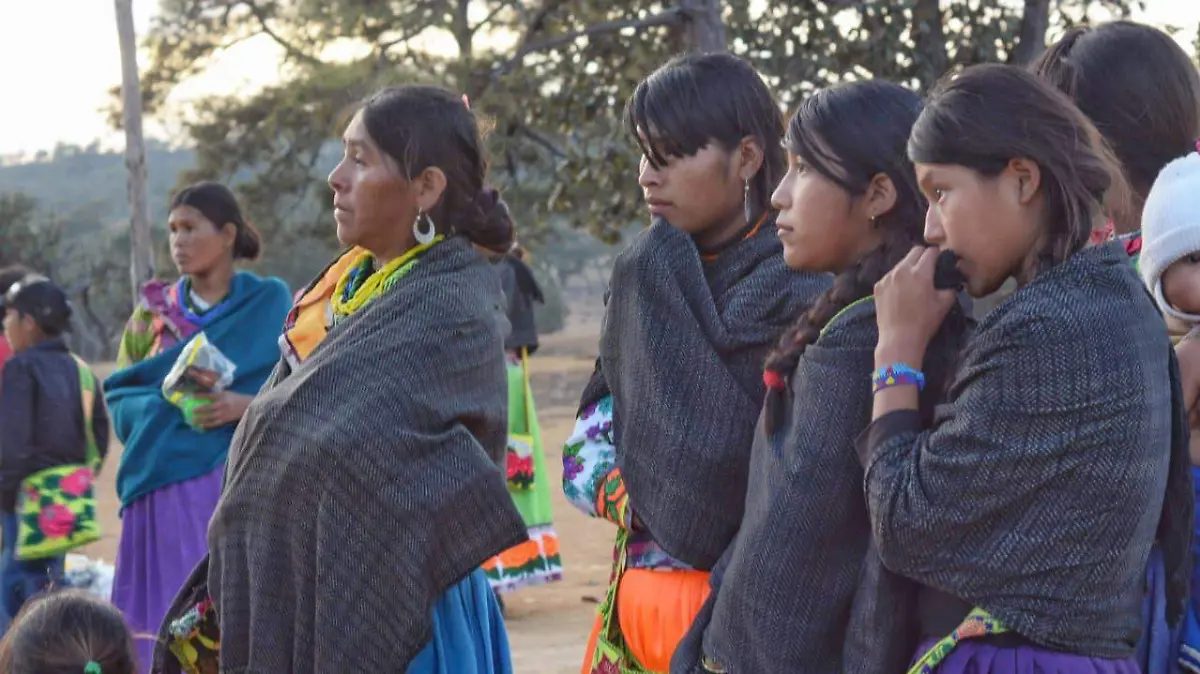 WhatsApp Image 2025-11-05 at 15.18.51 (1)