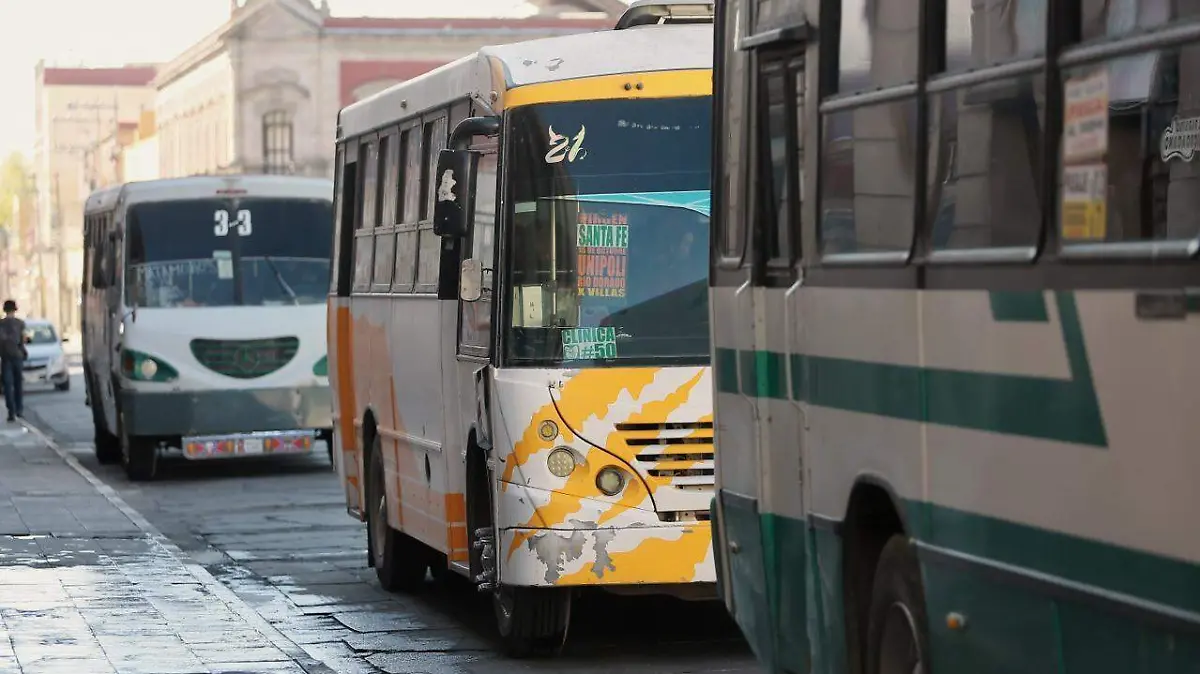 WhatsApp Image 2025-11-06 at 16.05.20 (1)