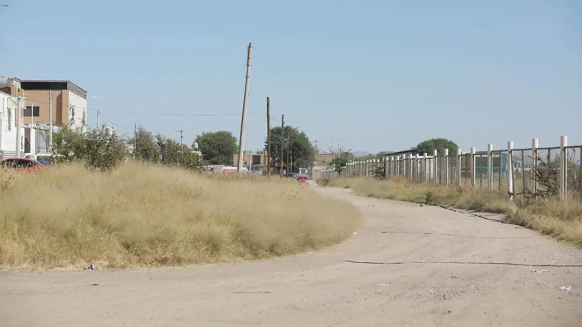 Proyecto Parque Oriente: un nuevo pulmón verde para Durango