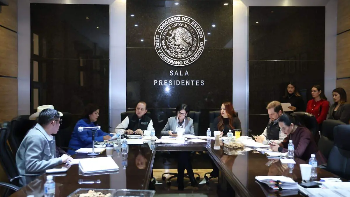 LEYES DE INGRESOS PM