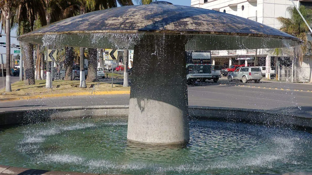 Hongo / Espacio público