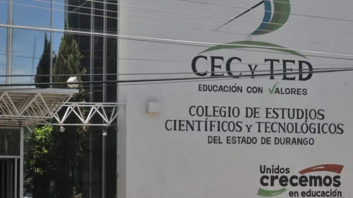 WhatsApp Image 2025-11-12 at 19.49.26