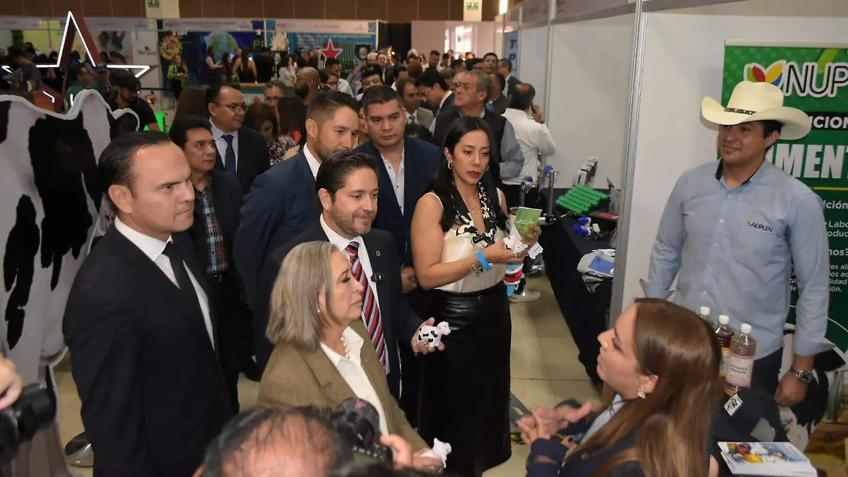 WhatsApp Image 2025-11-13 at 19.43.56