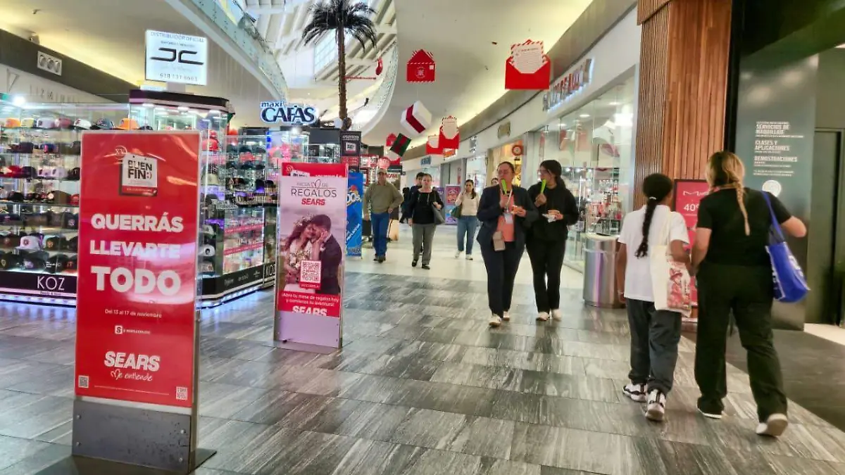 WhatsApp Image 2025-11-13 at 21.04.33