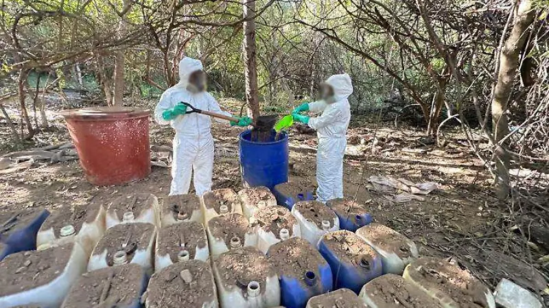 Desmantelan narcolaboratorio en Tamazula, Durango