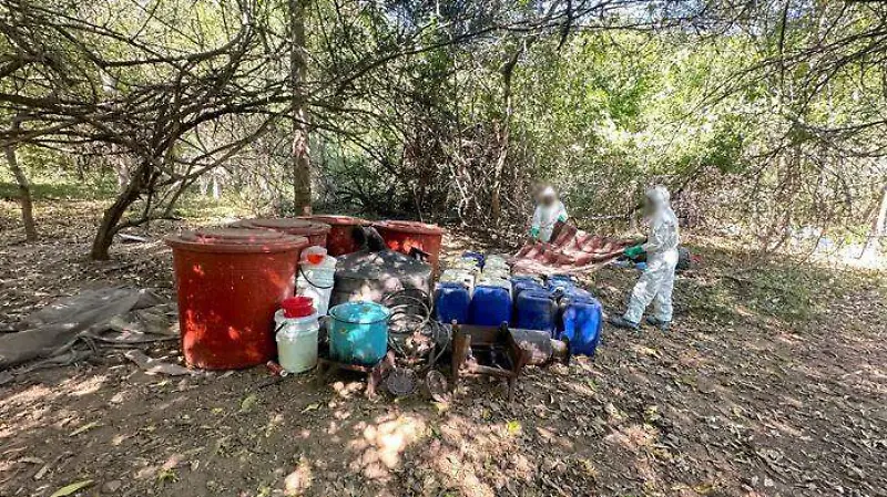 Desmantelan narcolaboratorio en Tamazula, Durango