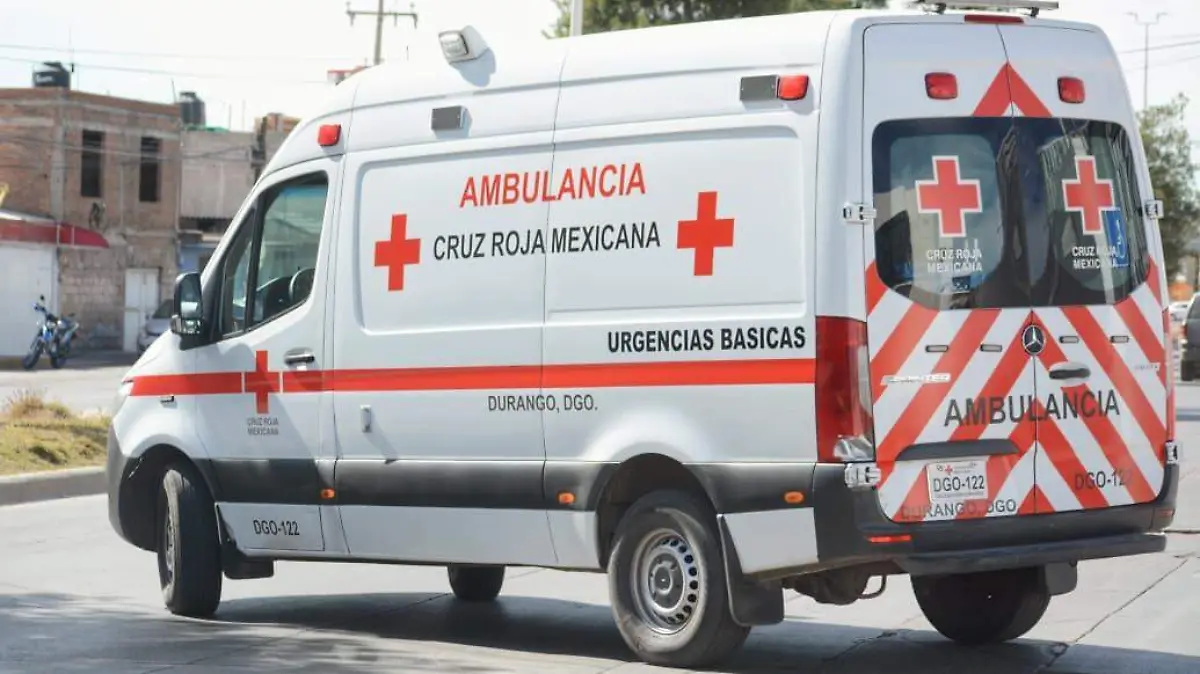 WhatsApp Image 2025-11-19 at 3.19.20 PM