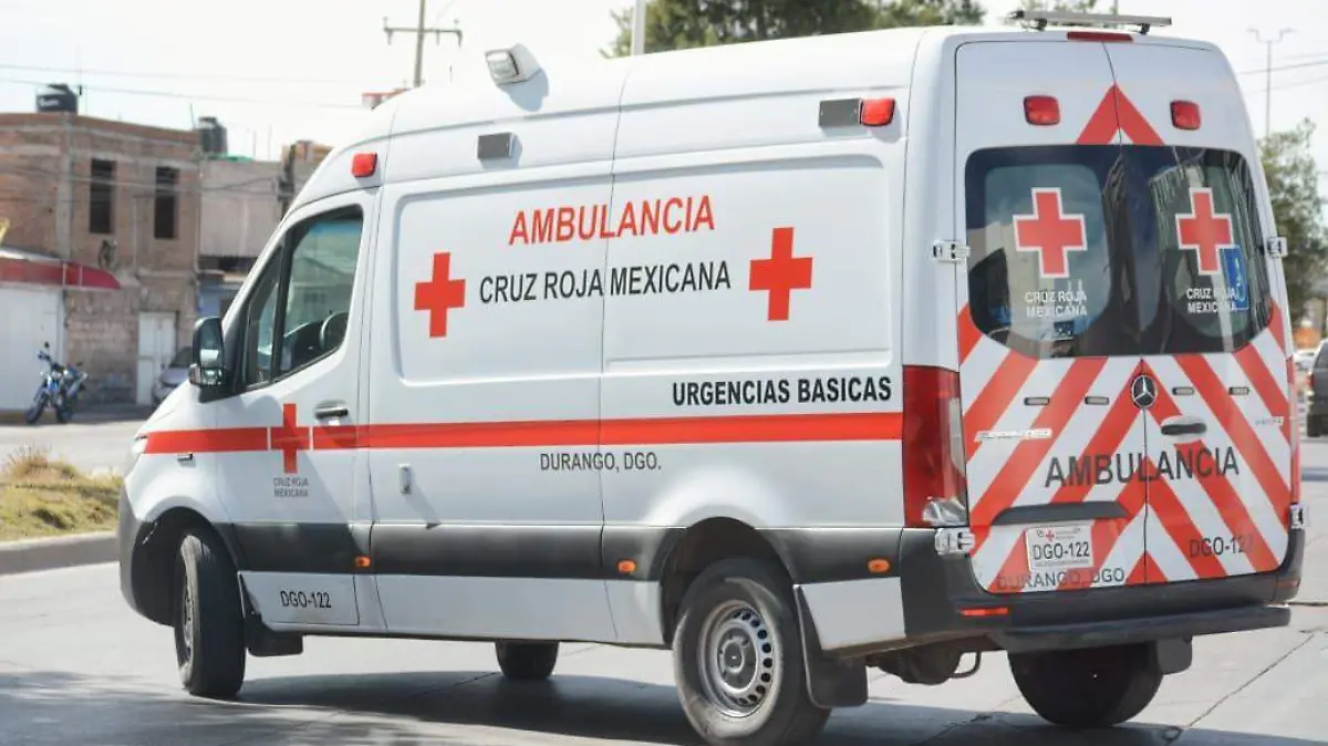 WhatsApp Image 2025-11-19 at 3.19.20 PM