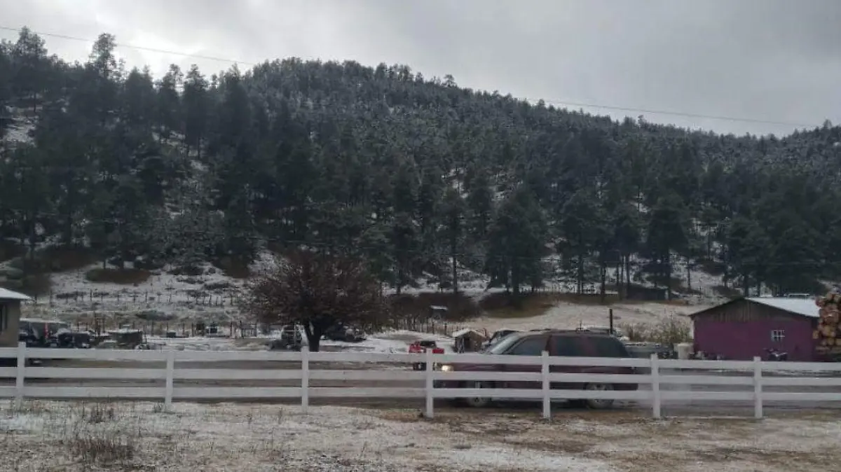 Llevaron las primeras nevadas de la temporada a Durango