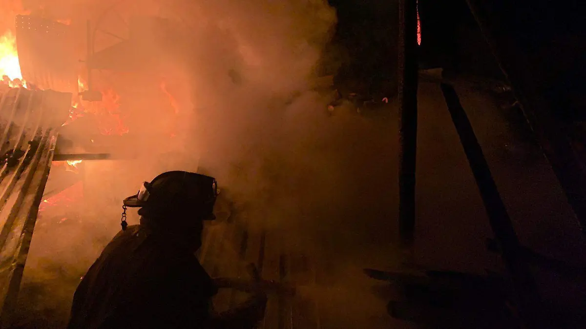 WhatsApp Image 2025-11-20 at 12.03.37 PM