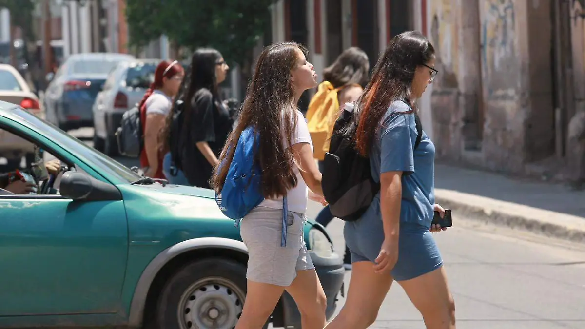 WhatsApp Image 2025-11-20 at 1.45.48 PM