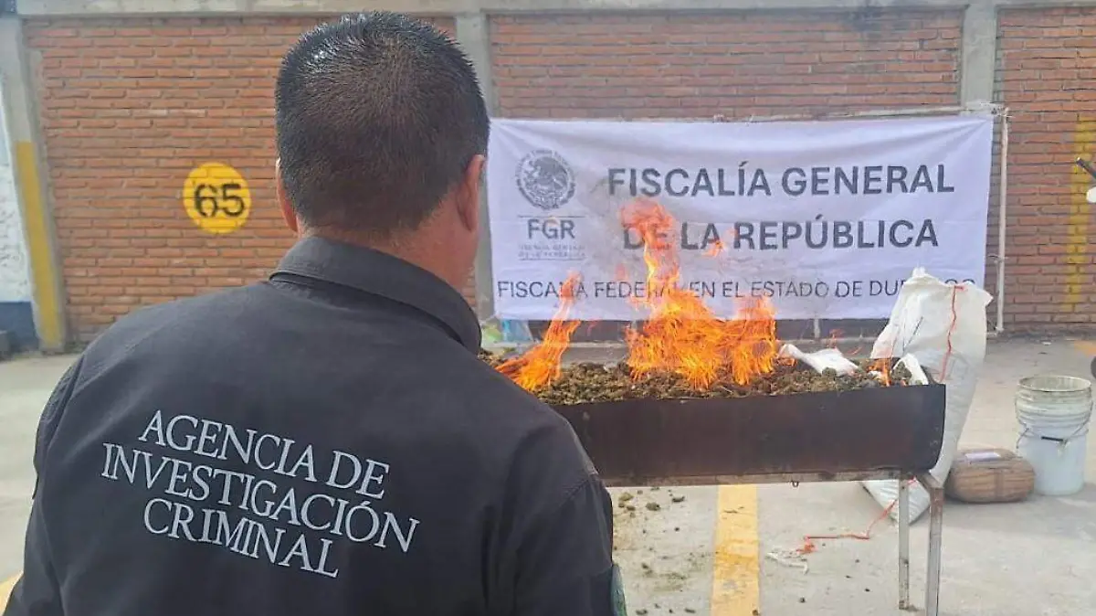 WhatsApp Image 2025-11-19 at 1.04.29 PM