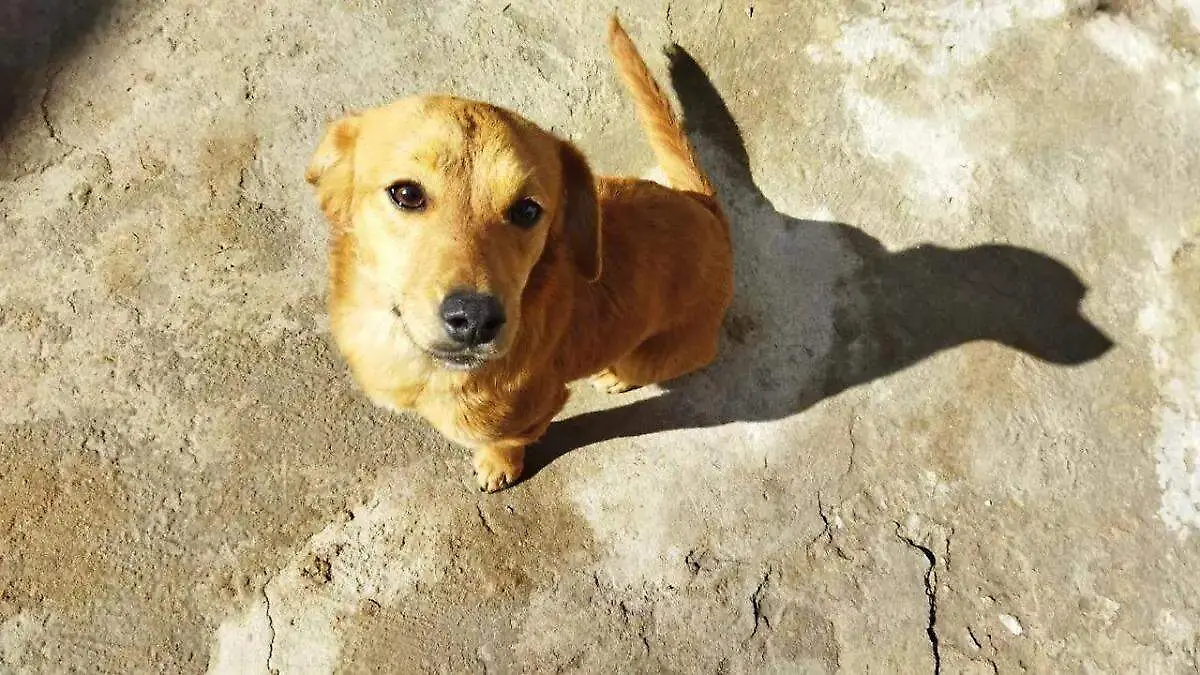 image - 2025-11-22T193741.600