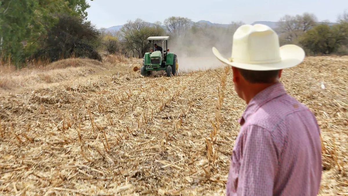 WhatsApp Image 2025-11-23 at 18.45.29