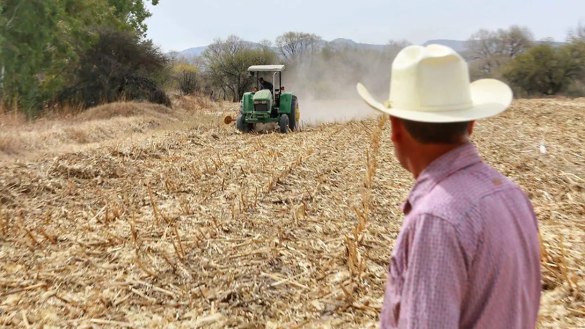 WhatsApp Image 2025-11-23 at 18.45.29