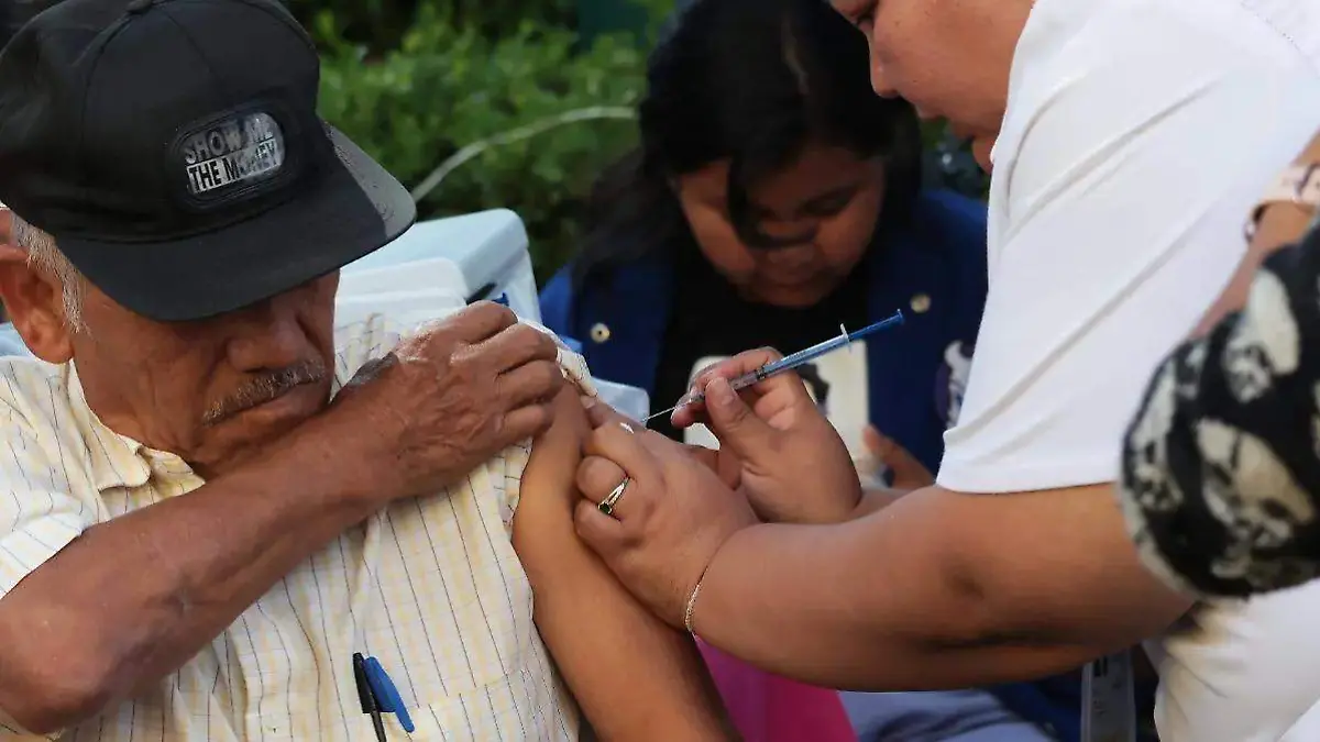 image - 2025-11-24T215656.564