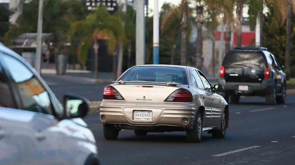 WhatsApp Image 2025-11-26 at 18.16.03