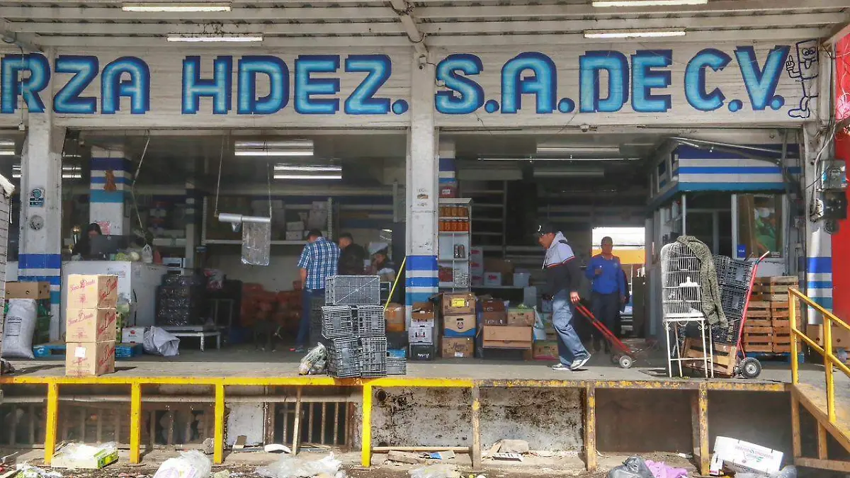 WhatsApp Image 2025-11-26 at 17.08.01