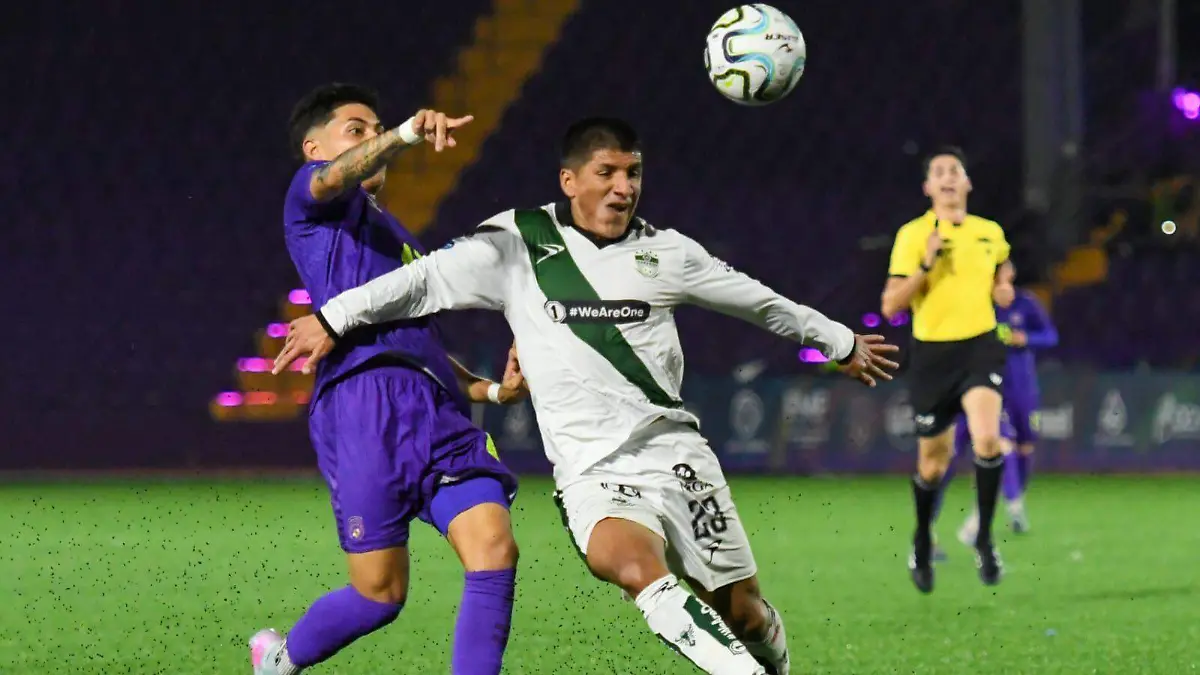 WhatsApp Image 2025-11-27 at 22.40.09 (1)