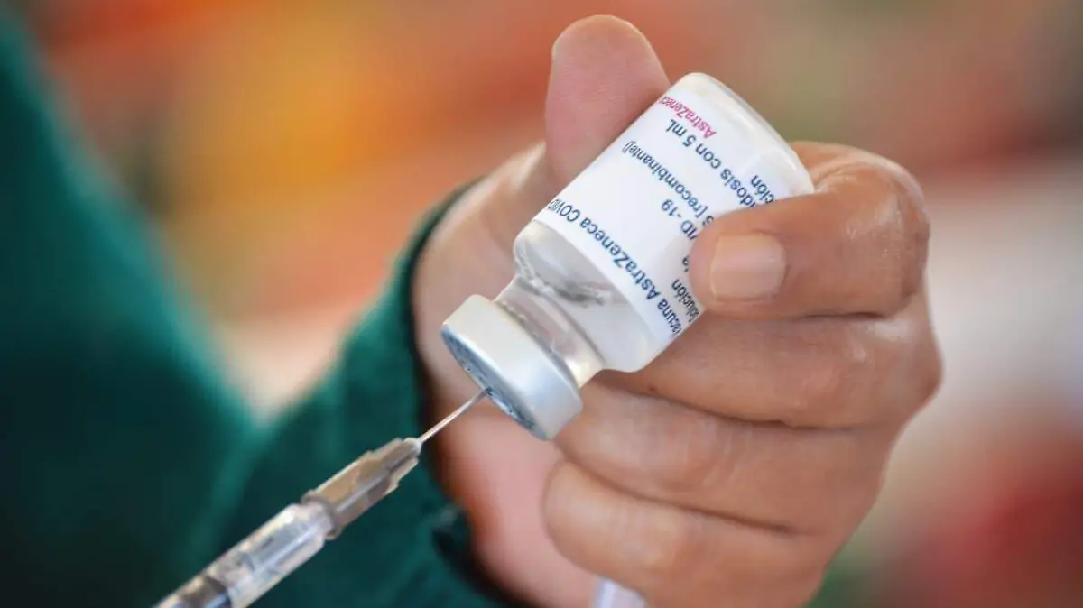 WhatsApp Image 2025-11-29 at 3.01.51 PM