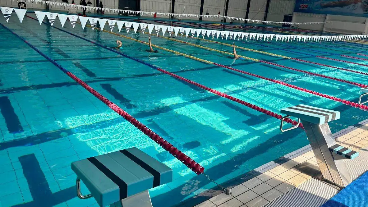 WhatsApp Image 2025-12-01 at 3.52.42 PM (1)