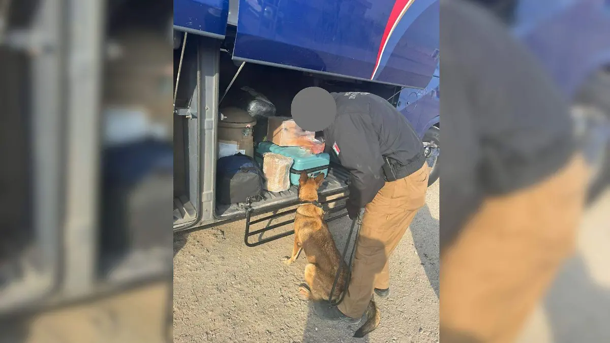 Imagen dimensiones de CUE  (92)