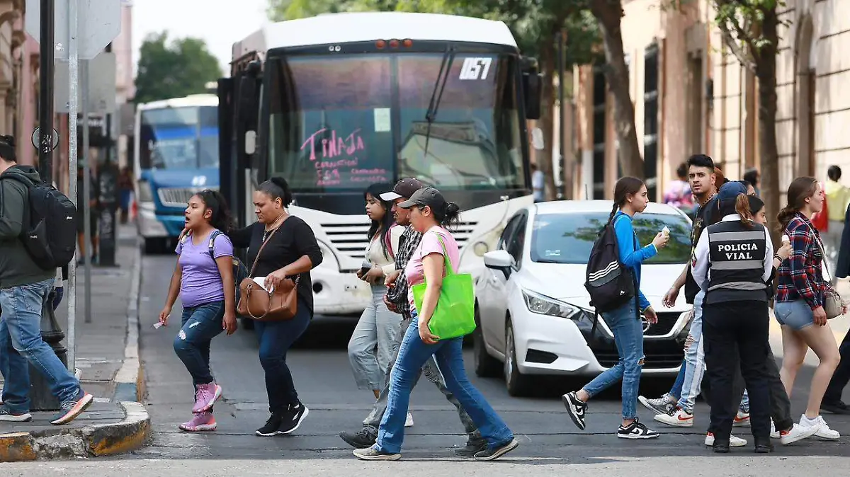 WhatsApp Image 2025-12-05 at 3.57.52 PM