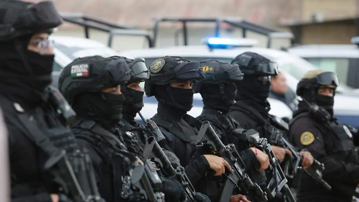 WhatsApp Image 2025-12-06 at 15.59.27