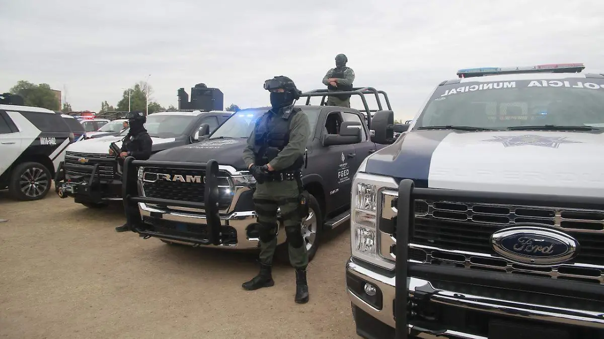 WhatsApp Image 2025-12-06 at 15.59.27 (1)