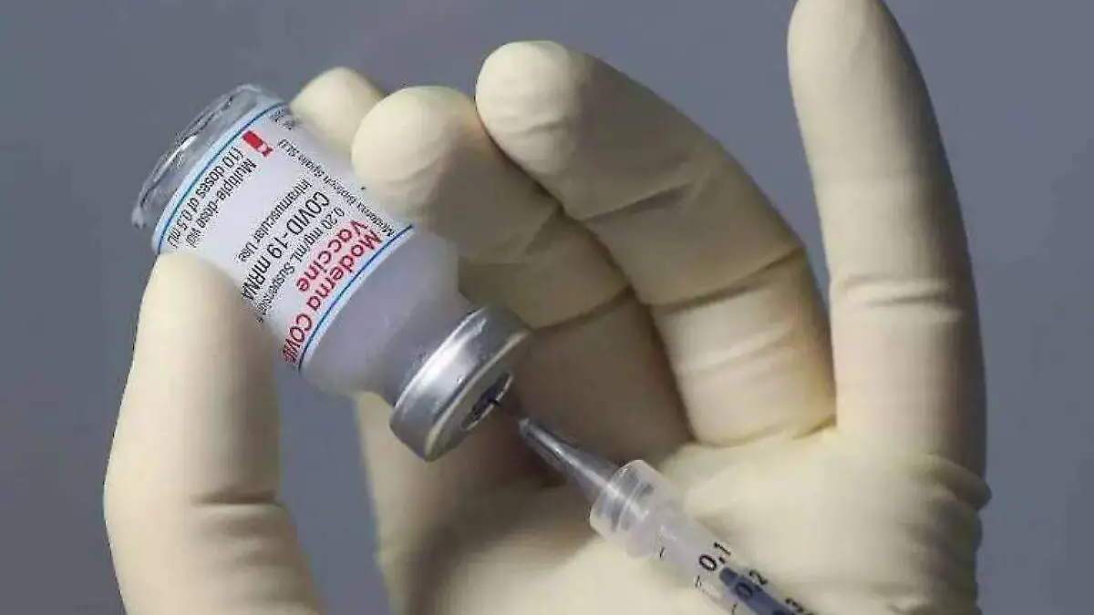 image - 2025-12-06T225559.975