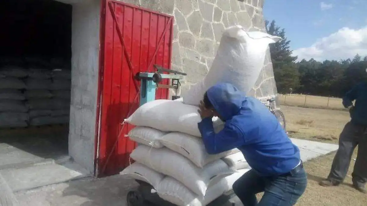 image - 2025-12-10T210305.111