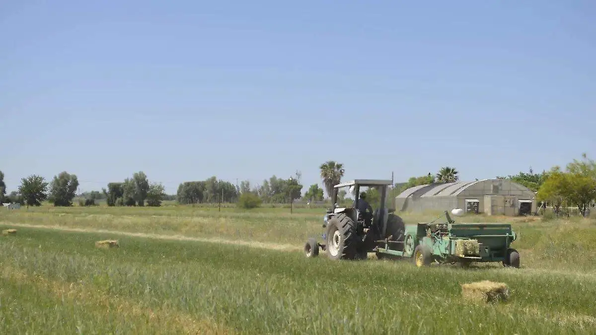 image - 2025-12-11T002155.036